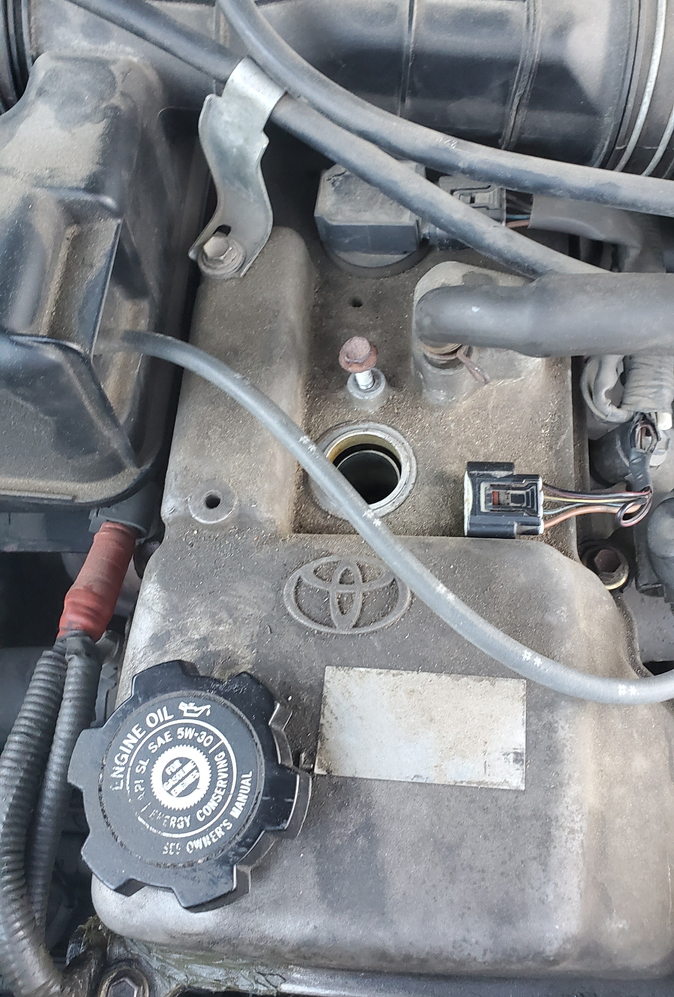 Measuring and initial cutting - Step 2.1